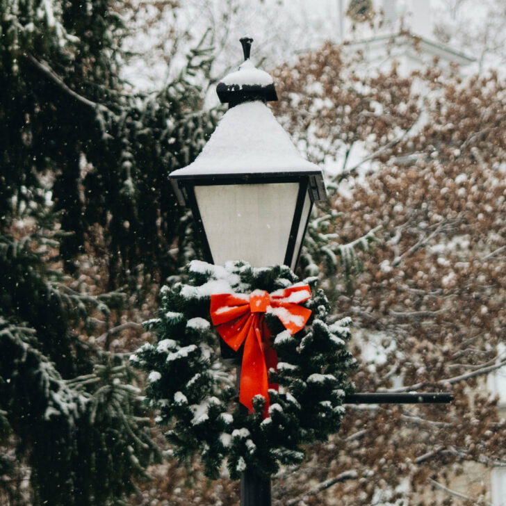 Cosa fare in provincia di Alessandria. Gli eventi di domenica 23 novembre