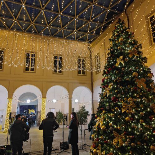 La Fondazione Cassa di Risparmio di Alessandria illumina Palatium Vetus: “Veniteci a trovare”