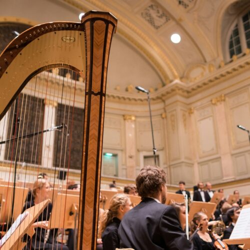 Cosa fare in provincia di Alessandria. Gli eventi di sabato 8 novembre