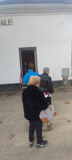 Al Gattile Sanitario di Alessandria raccolta una tonnellata di cibo per le colonie feline