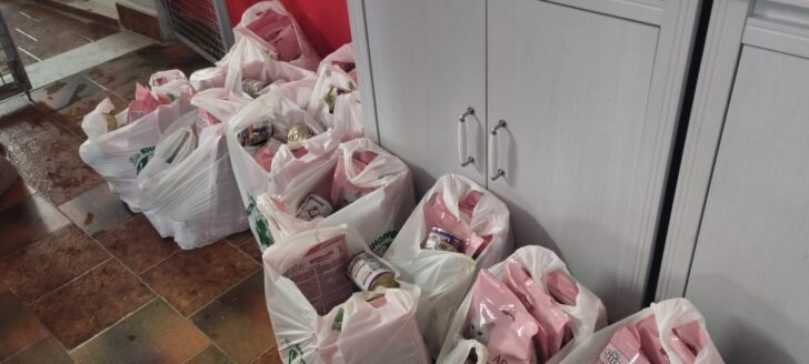 Al Gattile Sanitario di Alessandria raccolta una tonnellata di cibo per le colonie feline