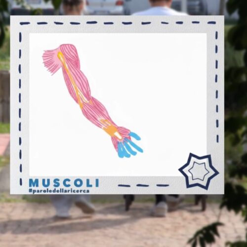 “Spazio alla Ricerca: tecnologia e umanità per la riabilitazione del futuro