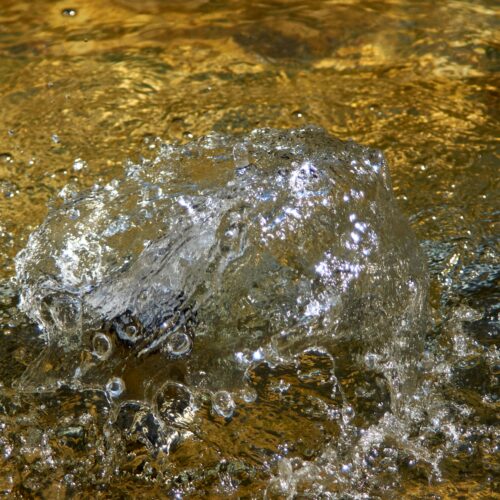 A Pavia un incontro pubblico sulla tutela delle acque e i rischi legati ai PFAS