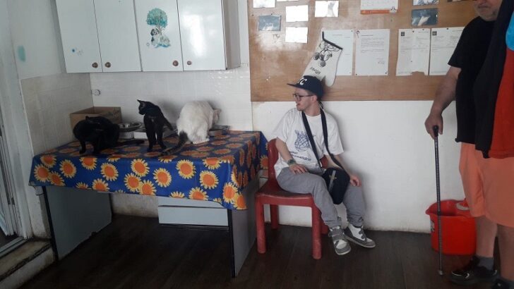 I ragazzi del centro Sole Luna in aiuto al gattile Panciaallegra: “Così abbiamo scoperto di essere utili”