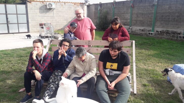 I ragazzi del centro Sole Luna in aiuto al gattile Panciaallegra: “Così abbiamo scoperto di essere utili”