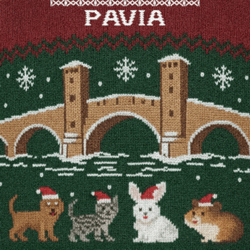 Un Natale da accarezzare e fotografare: ecco il contest “Pet Christmas Pavia”