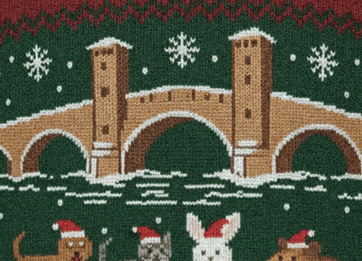 Un Natale da accarezzare e fotografare: ecco il contest “Pet Christmas Pavia”