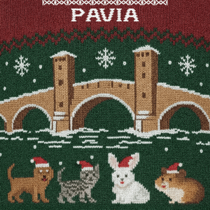 Un Natale da accarezzare e fotografare: ecco il contest “Pet Christmas Pavia”