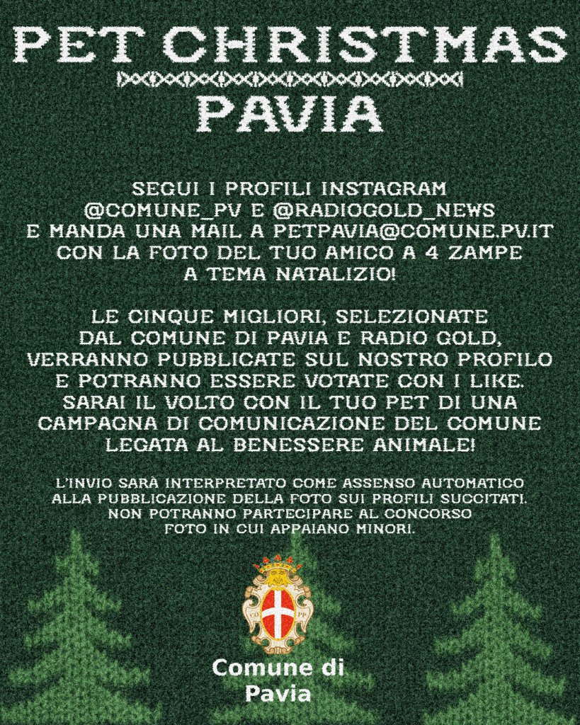 Pet Gold Christmas Pavia