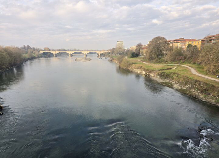 Parco del Ticino, Isola dell’Ochetta rinasce dopo gli schianti del 2023