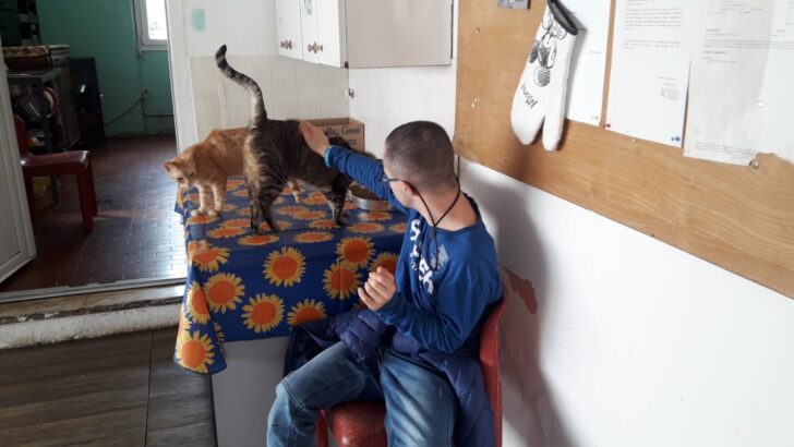 I ragazzi del centro Sole Luna in aiuto al gattile Panciaallegra: “Così abbiamo scoperto di essere utili”