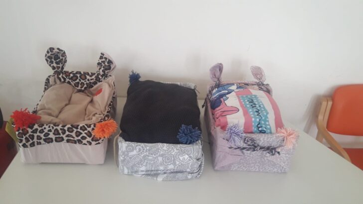 I ragazzi del centro Sole Luna in aiuto al gattile Panciaallegra: “Così abbiamo scoperto di essere utili”