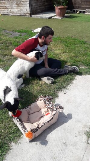 I ragazzi del centro Sole Luna in aiuto al gattile Panciaallegra: “Così abbiamo scoperto di essere utili”