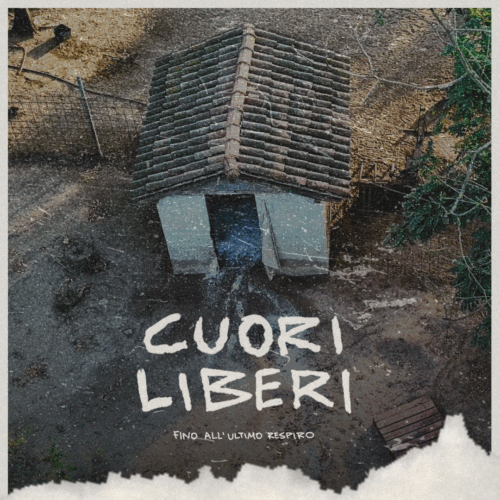 Mercoledì 10 la proiezione del film “Cuori liberi”, il racconto dei 30 mila suini abbattuti per la psa