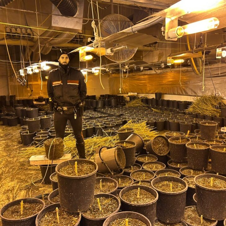 Bloccati con il furgone pieno di marijuana: Carabinieri sequestrano oltre 64 chili di droga