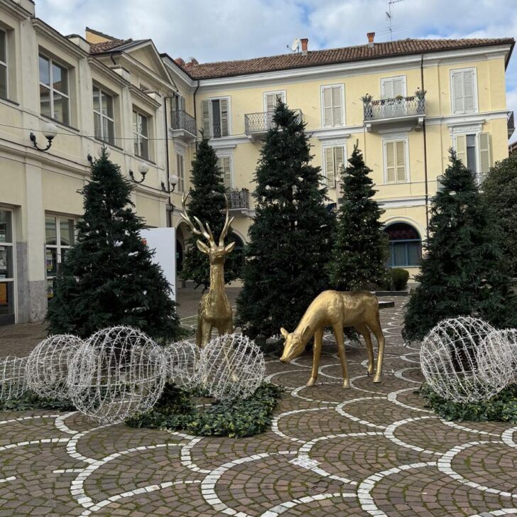 Danneggiate le renne natalizie a Valenza. Il sindaco: “Già sostituite e domenica l’inaugurazione”