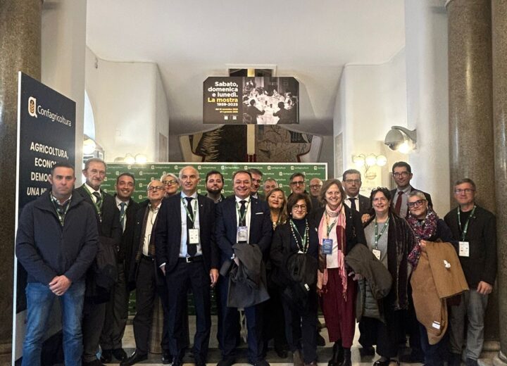 Viticoltori piemontesi in affanno: le proposte di Confagricoltura per il sostegno delle aziende