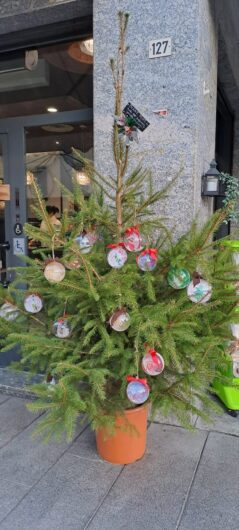 Attestati ai piccoli “artigiani del Natale” che hanno decorato gli abeti donati da Maison Damiani