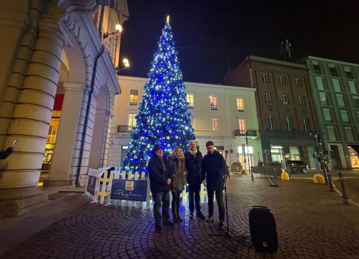 Alessandria accende il grande Albero di Natale in piazza della Libertà