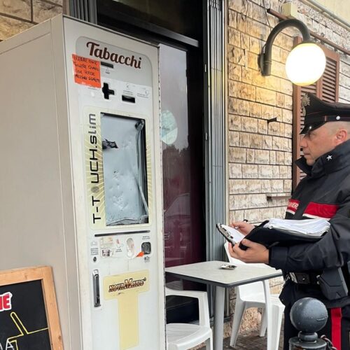 Sorpreso a rubare: bloccato dai Carabinieri