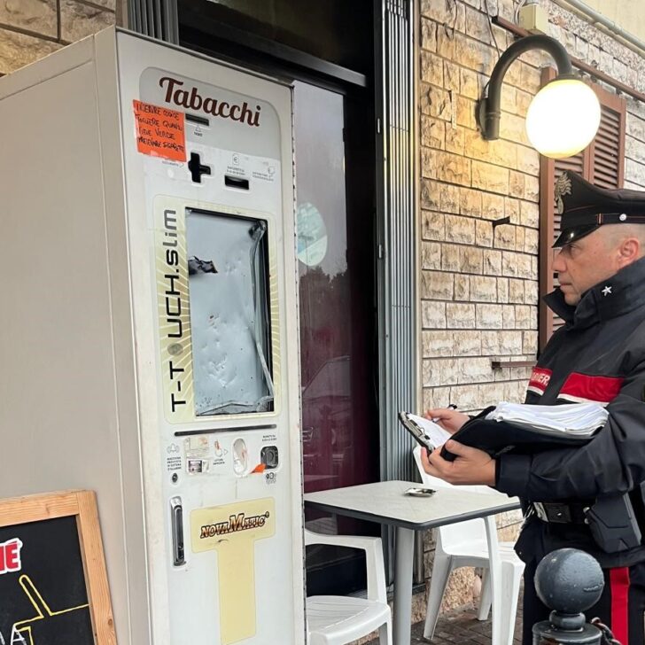Sorpreso a rubare: bloccato dai Carabinieri