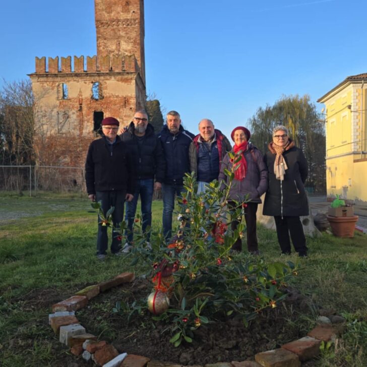 A Casalbagliano un agrifoglio addobbato a festa grazie al Comitato dei cittadini del sobborgo