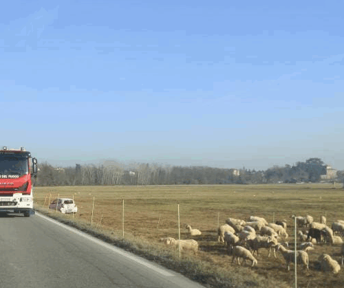 Incidente tra due auto a Basaluzzo: traffico rallentato