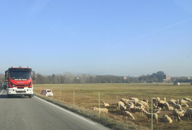 Incidente tra due auto a Basaluzzo: traffico rallentato