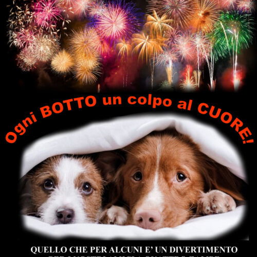 Alessandria rinnova l’appello contro petardi e botti: multe da 200 a 500 euro