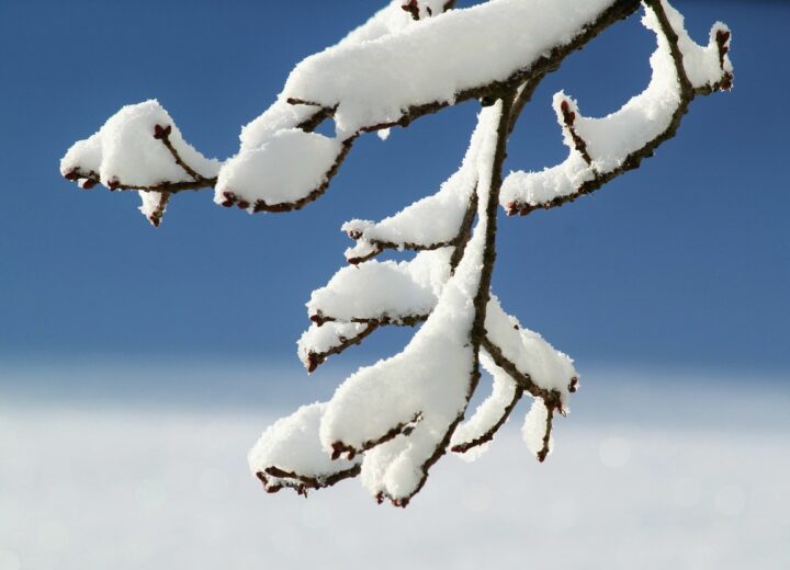 Lunedì allerta gialla per neve in provincia di Alessandria