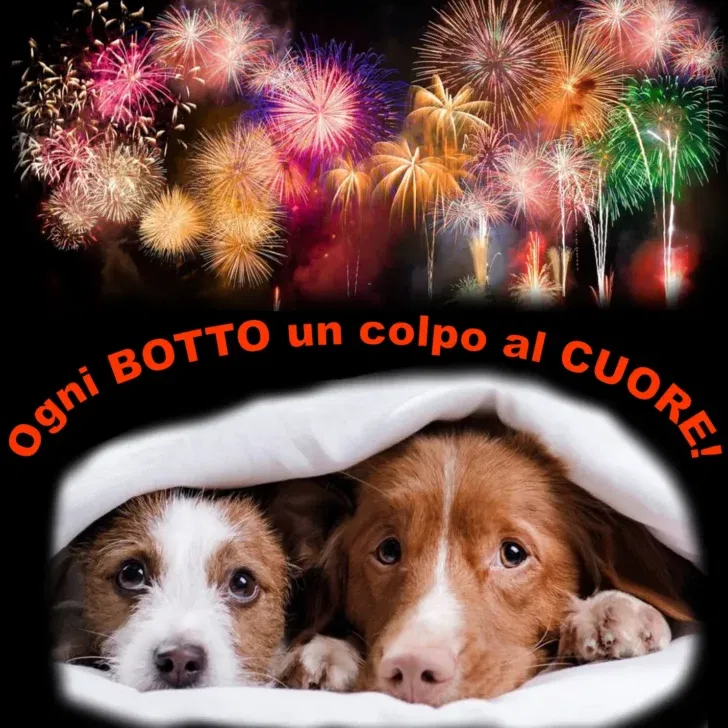 Ordinanze e campagne per sicurezza e tutela animali. Sempre più comuni scelgono un Capodanno senza “botti”