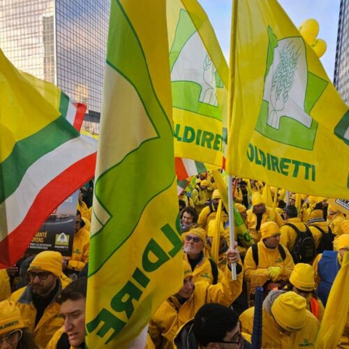 La protesta degli agricoltori a Bruxelles, presidente Coldiretti Alessandria: “Basta tagli”