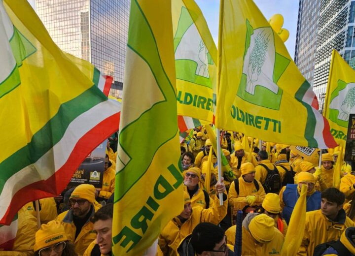 La protesta degli agricoltori a Bruxelles, presidente Coldiretti Alessandria: “Basta tagli”