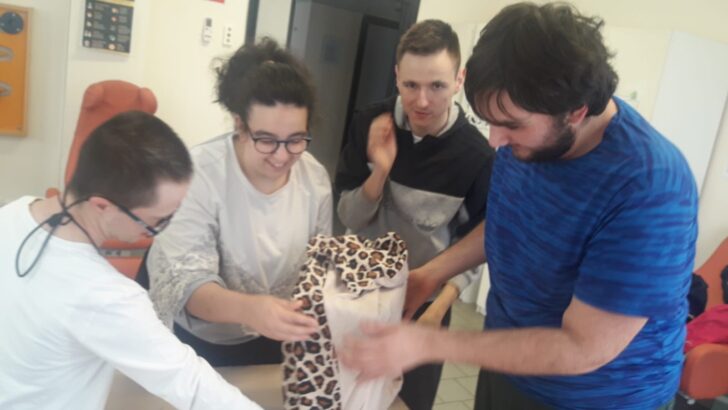 I ragazzi del centro Sole Luna in aiuto al gattile Panciaallegra: “Così abbiamo scoperto di essere utili”