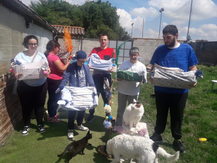 I ragazzi del centro Sole Luna in aiuto al gattile Panciaallegra: “Così abbiamo scoperto di essere utili”