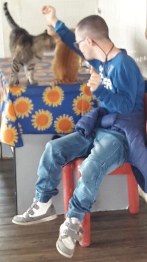 I ragazzi del centro Sole Luna in aiuto al gattile Panciaallegra: “Così abbiamo scoperto di essere utili”