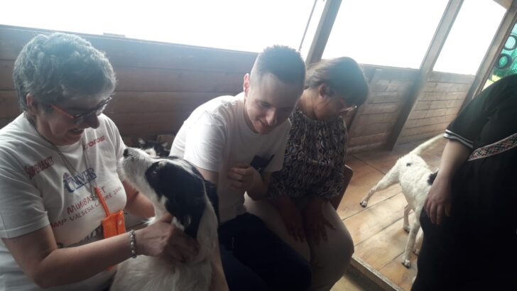 I ragazzi del centro Sole Luna in aiuto al gattile Panciaallegra: “Così abbiamo scoperto di essere utili”