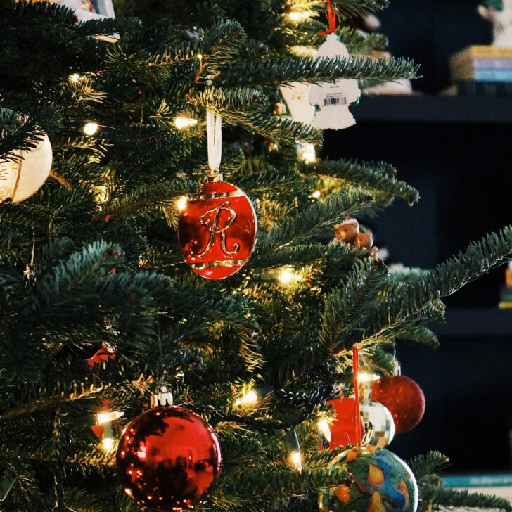 A Broni il Natale non finisce il 6 gennaio: dona il tuo albero e fallo rinascere nel verde della città