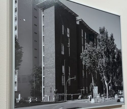 Le notizie che potreste aver perso oggi, giovedì 18 dicembre