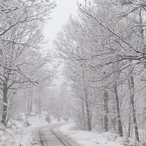 Neve anche in provincia di Alessandria: le foto dal territorio