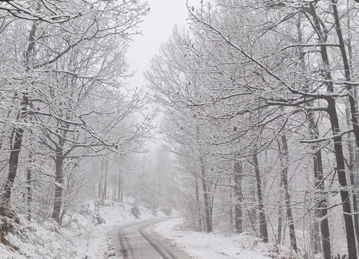 Neve anche in provincia di Alessandria: le foto dal territorio