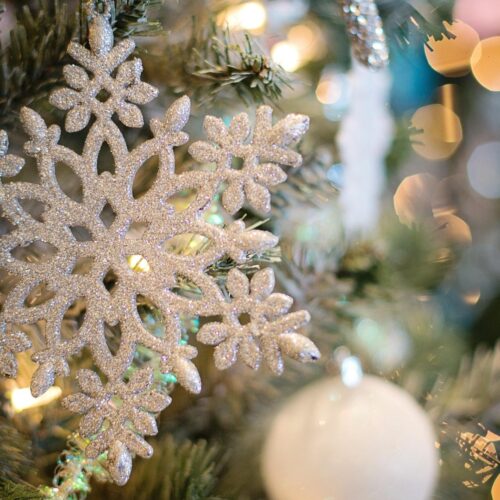 Cosa fare in provincia di Alessandria. Gli eventi di sabato 27 dicembre