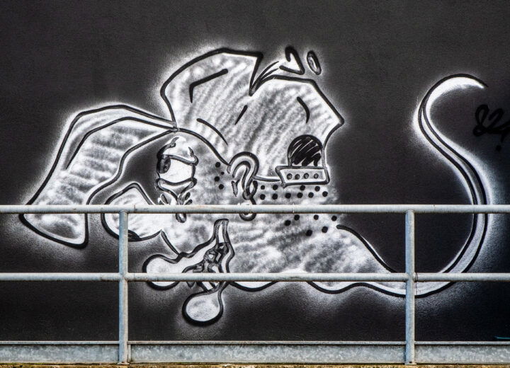 Volti e disegni sui muri di Alessandria e torna il dibattito: street art o vandalismo?