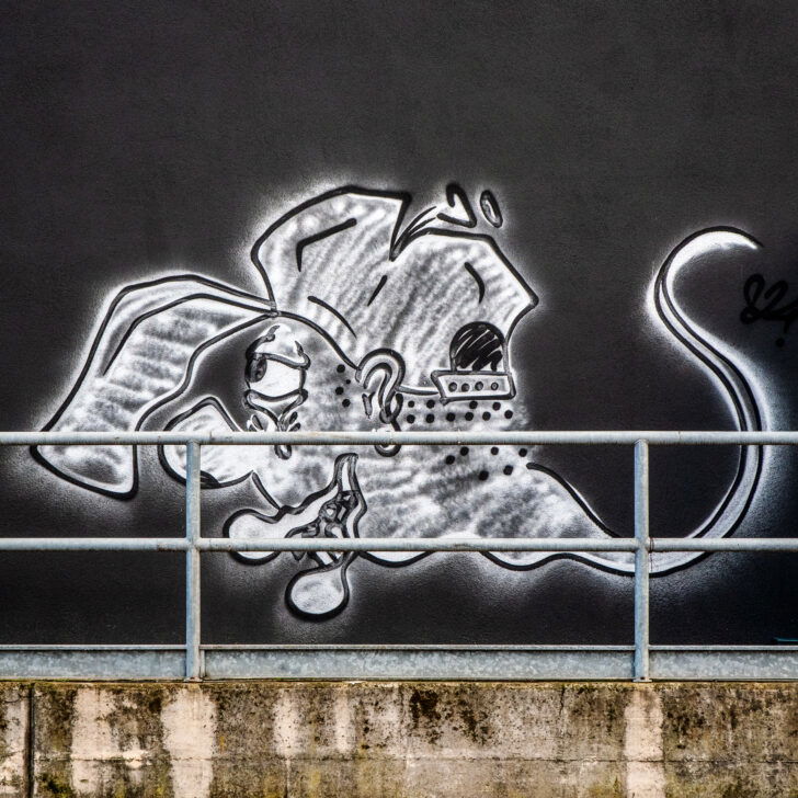 Volti e disegni sui muri di Alessandria e torna il dibattito: street art o vandalismo?