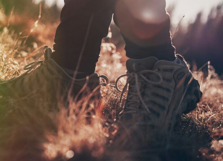 La Strada dei Vini e dei Sapori incrocia la Strada Franca per nuovo cammino green nel Gran Monferrato