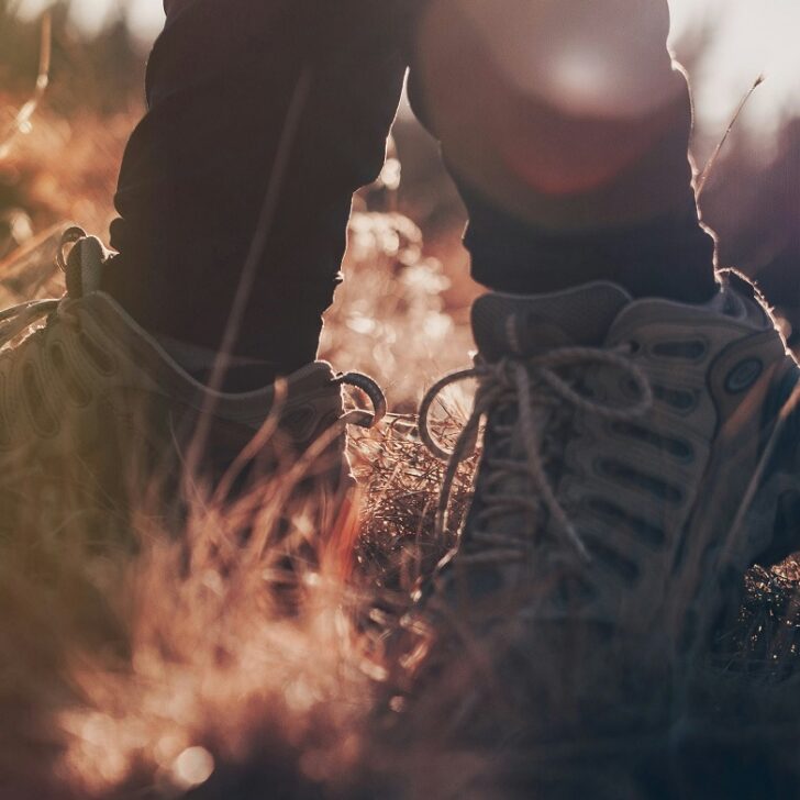 La Strada dei Vini e dei Sapori incrocia la Strada Franca per nuovo cammino green nel Gran Monferrato