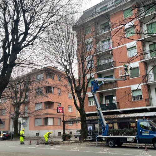 Voghera, maxi intervento sul verde pubblico: potature e manutenzione fino a marzo 2026