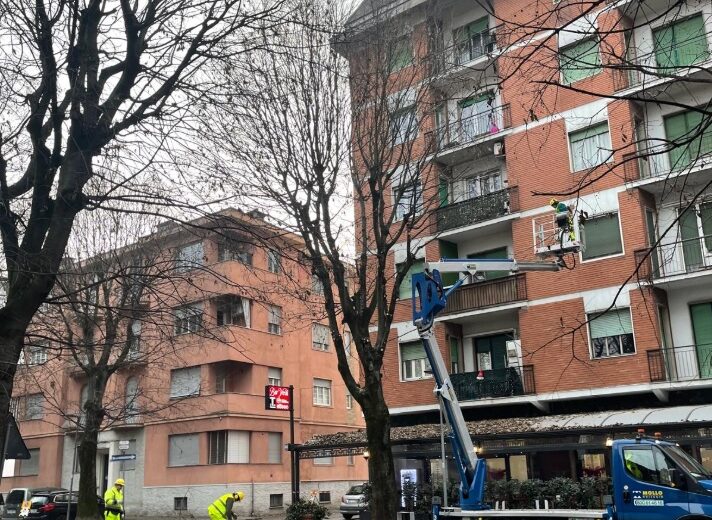 Voghera, maxi intervento sul verde pubblico: potature e manutenzione fino a marzo 2026