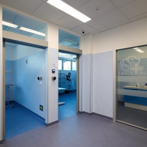 Croce Blu apre il Pronto Soccorso Veterinario: assistenza continua, ogni giorno, H24