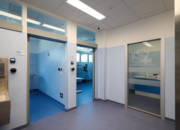 Croce Blu apre il Pronto Soccorso Veterinario: assistenza continua, ogni giorno, H24